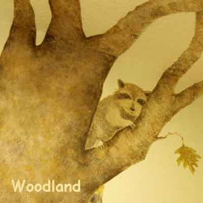 More Woodland photos ...